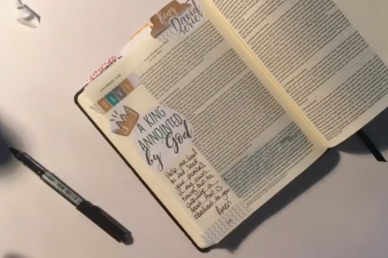 Journal Like David did